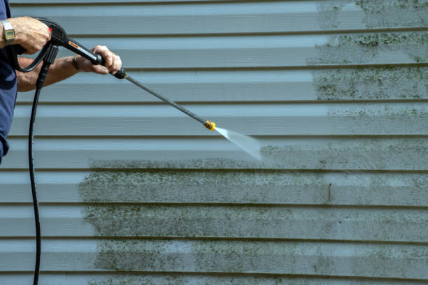 Boat and Dock Cleaning in Romeo, MI
